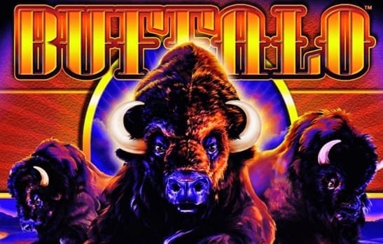 White Buffalo Slot